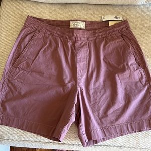 Abercrombie and Fitch pawn shorts NWT size large